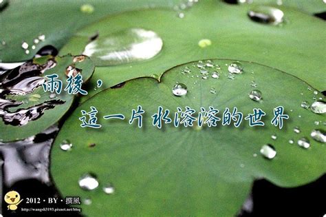 水溶溶意思